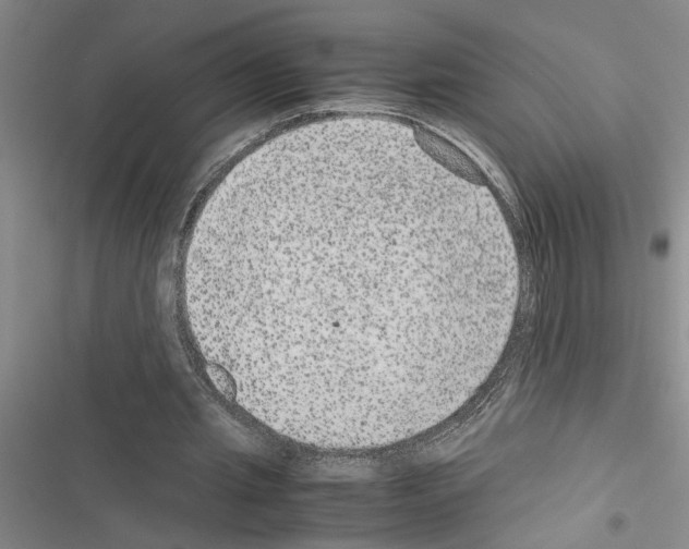X0000116560437201001211226