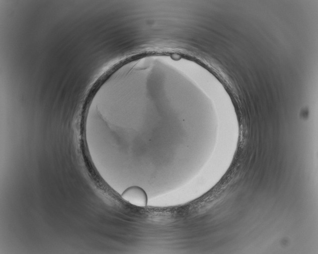 X0000116560438201001211226