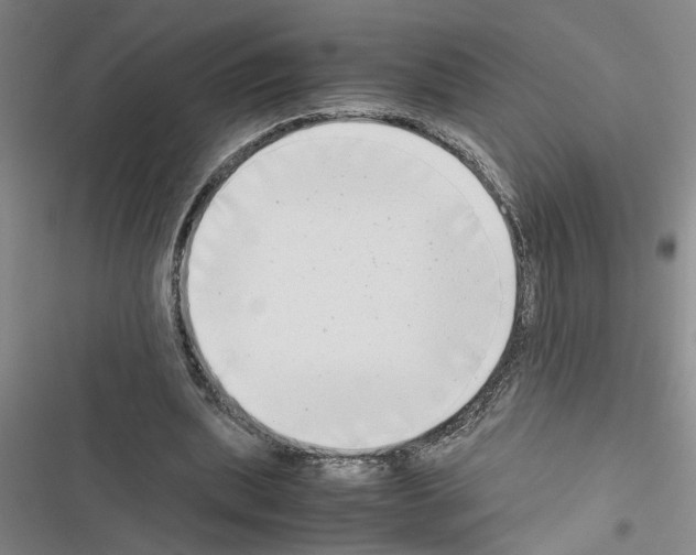 X0000116560439201001211226