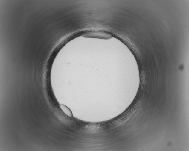 X0000116560440201001211226
