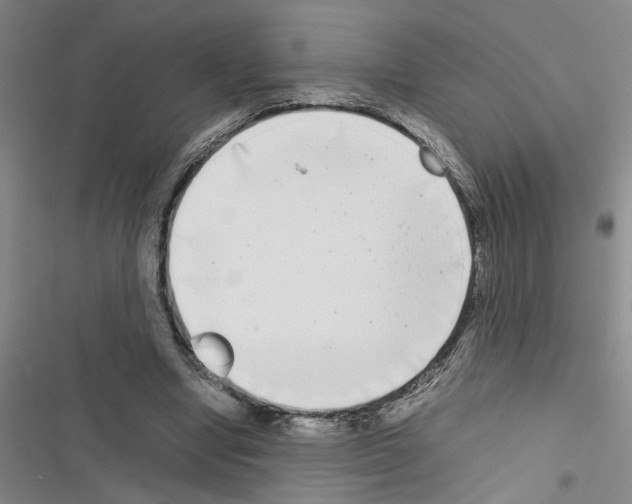 X0000116560442201001211226