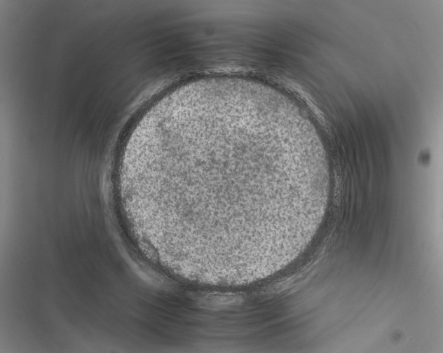 X0000116560443201001211226