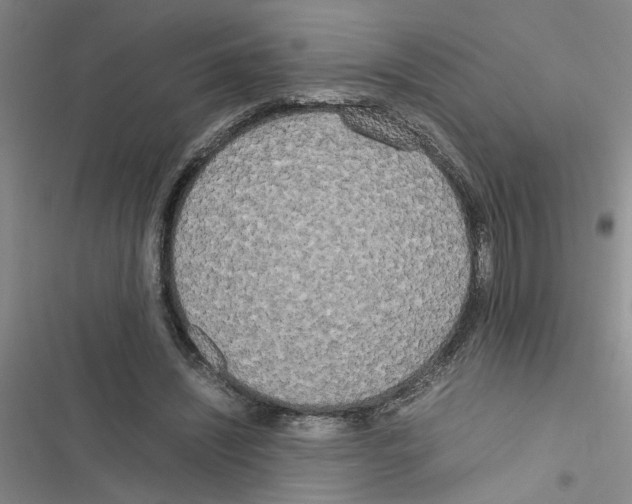 X0000116560444201001211226