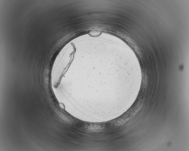 X0000116560445201001211226