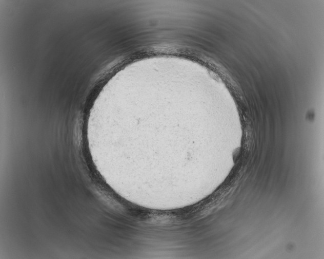 X0000116560446201001211226