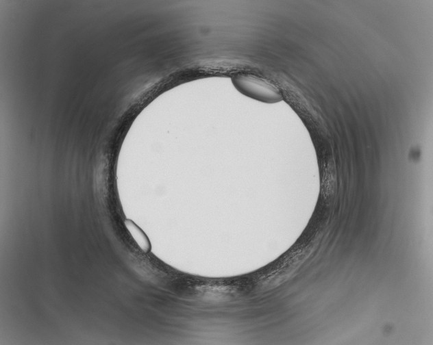 X0000116560448201001211226