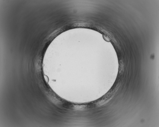 X0000116560450201001211226