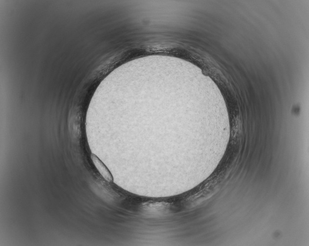 X0000116560452201001211226
