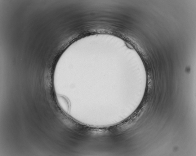 X0000116560453201001211226