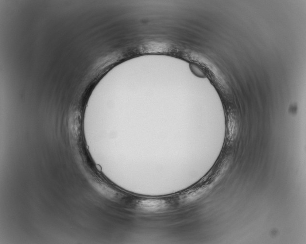 X0000116560455201001211226