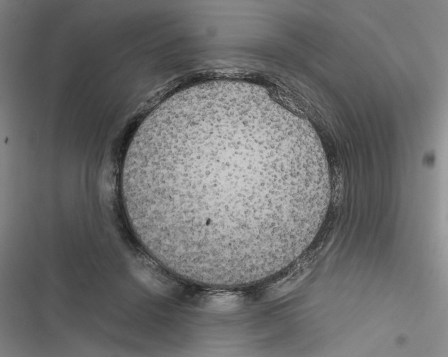 X0000116560456201001211226