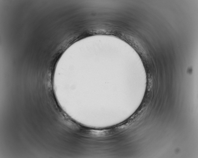 X0000116560457201001211226