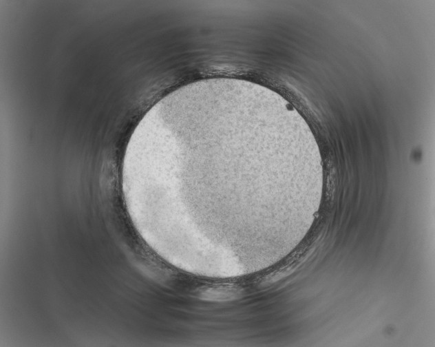 X0000116560459201001211226