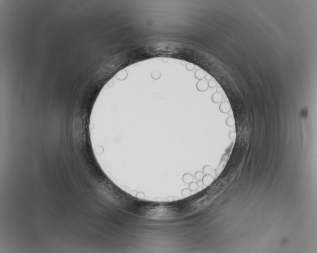 X0000116560460201001211226