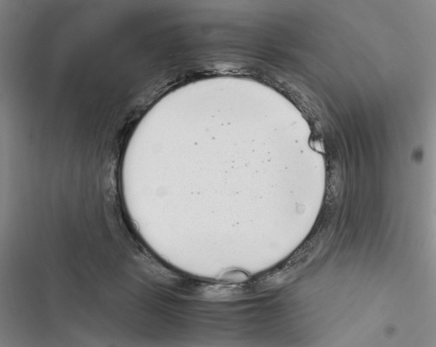 X0000116560461201001211226