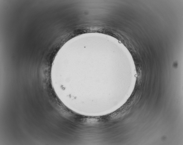 X0000116560462201001211226