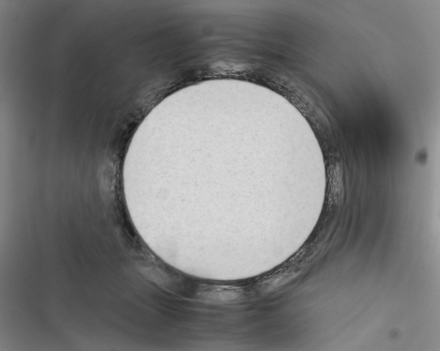 X0000116560463201001211226