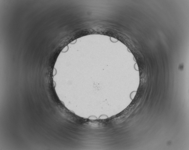 X0000116560464201001211226
