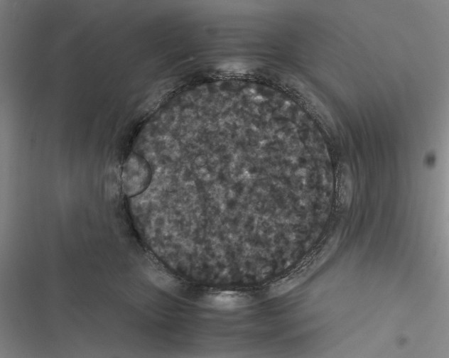 X0000116560467201001211226
