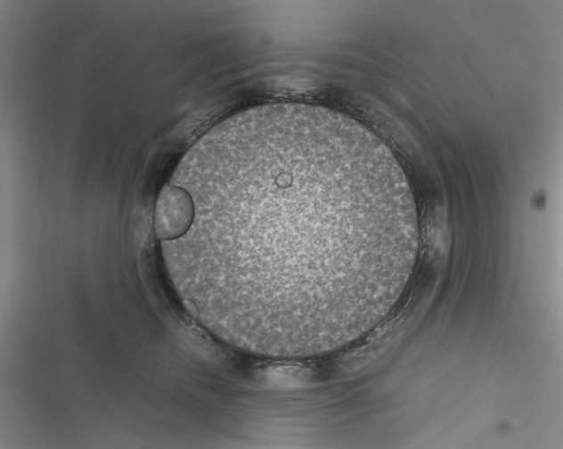X0000116560468201001211226