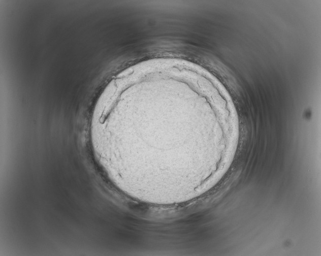 X0000116560469201001211226