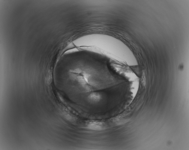 X0000116560471201001211226