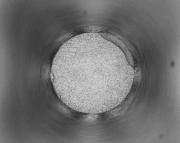 X0000116560474201001211226