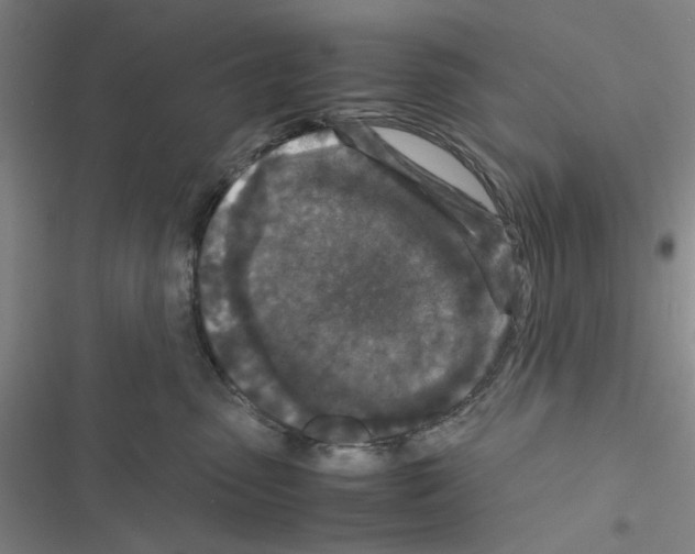 X0000116560475201001211226
