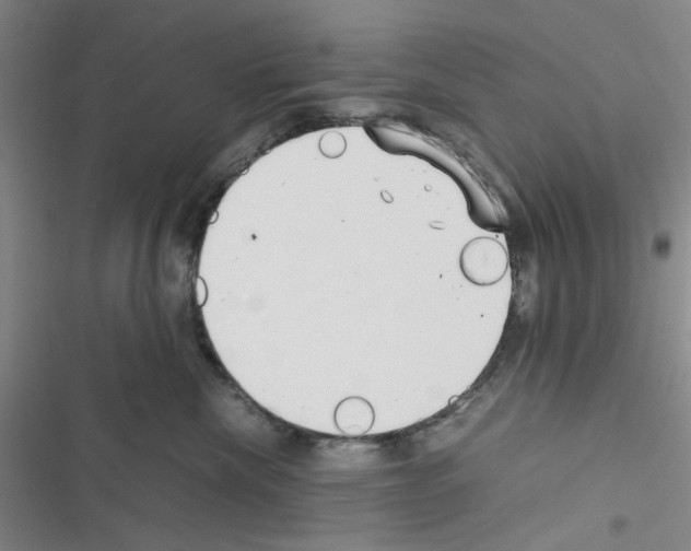 X0000116560476201001211226