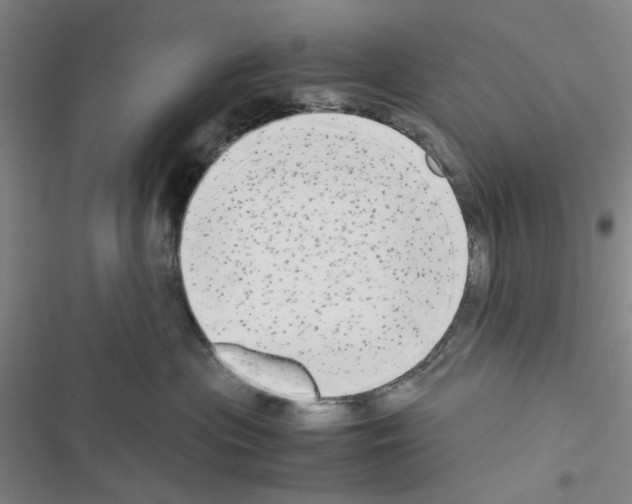 X0000116560477201001211226
