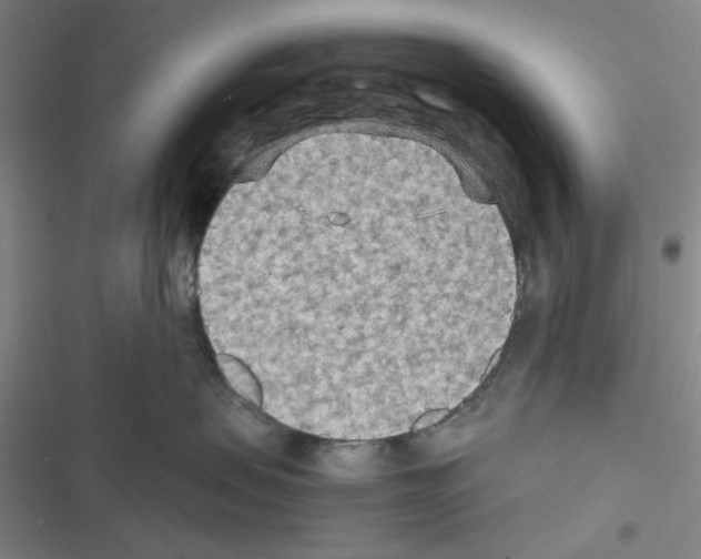 X0000116560479201001211226
