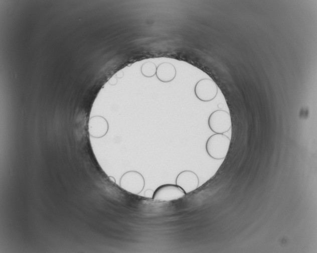 X0000116560480201001211226