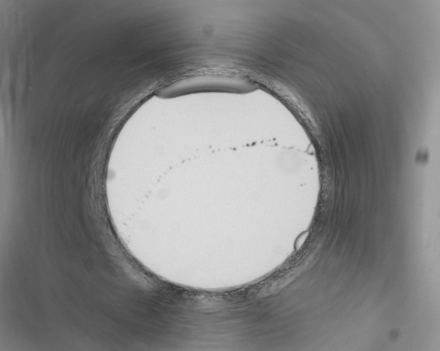 X0000116560481201001211226