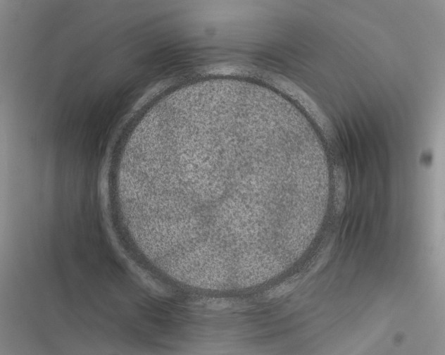 X0000116560482201001211226