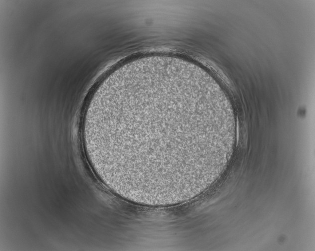 X0000116560483201001211226