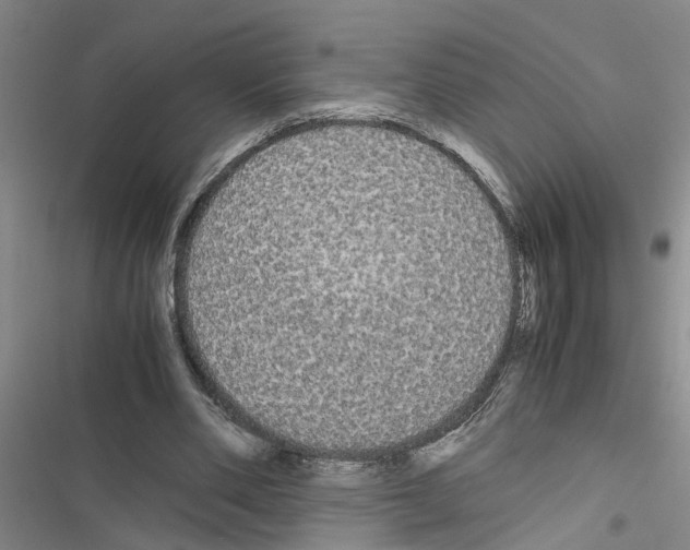 X0000116560486201001211226