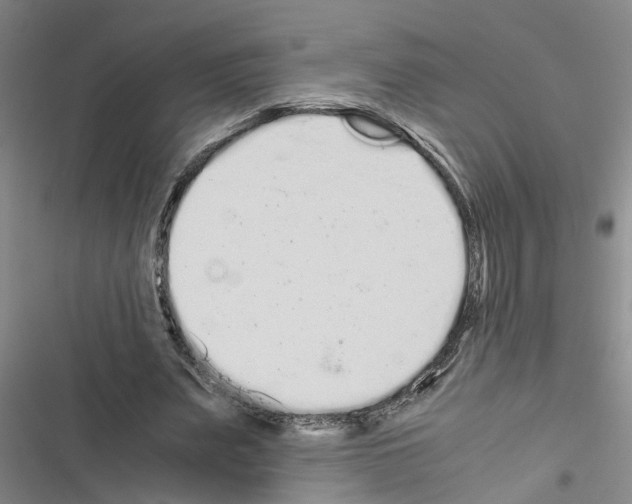 X0000116560487201001211226