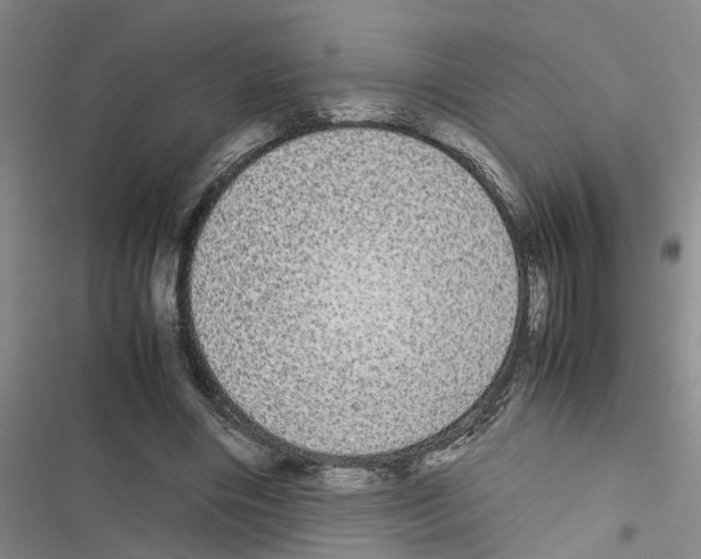 X0000116560490201001211226