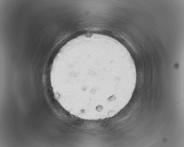 X0000116560491201001211226