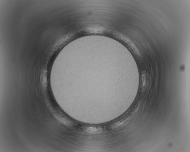 X0000116560494201001211226