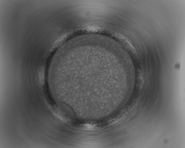 X0000116560496201001211226