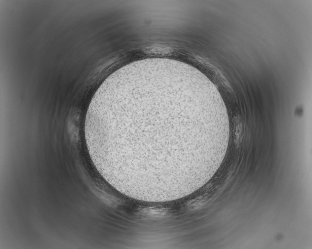 X0000116560498201001211226