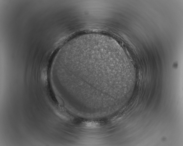X0000116560500201001211226