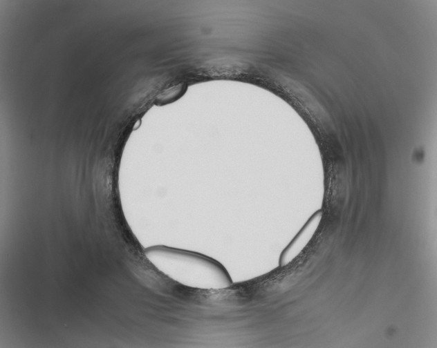 X0000116560501201001211225