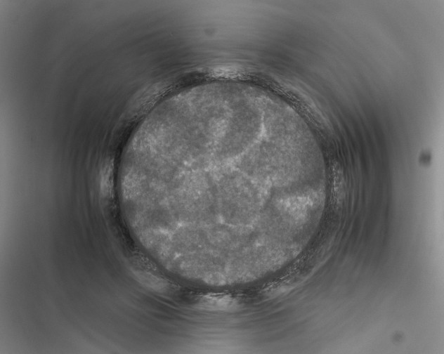 X0000116560502201001211225