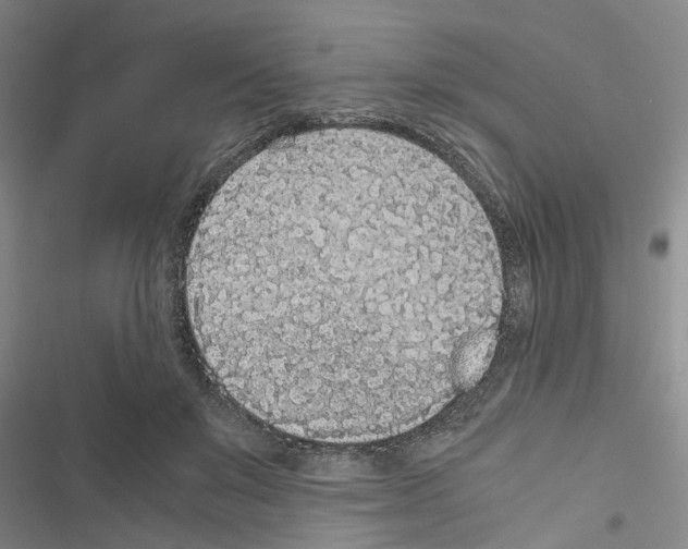 X0000116560503201001211225