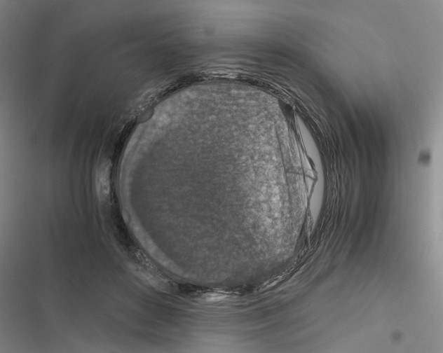 X0000116560504201001211225