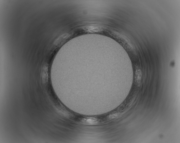 X0000116560506201001211225