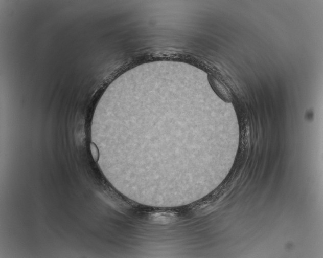 X0000116560508201001211225