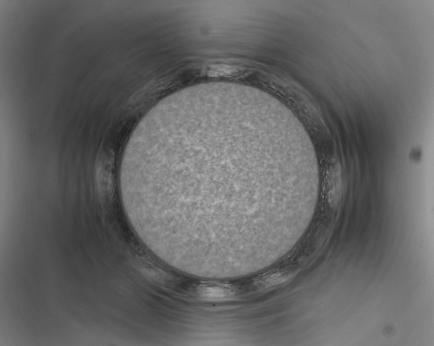 X0000116560510201001211225